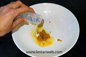 Larutan Bumbu Ikan Goreng