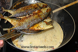 Masak Pindang Tongkol