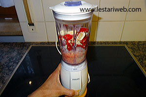 Memblender Bumbu Masak Tenggiri