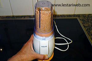 Memblender Kelapa Sangrai