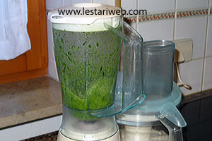 Membuat Warna Pandan