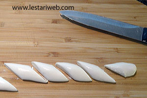 Memotong Cenil Putih