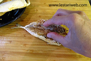 Mengambil Daging Ikan Peda