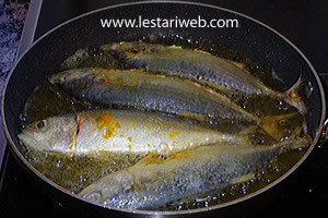 Menggoreng Ikan