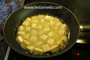 Menggoreng Tahu Medan