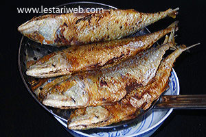 Meniriskan Ikan Goreng
