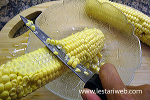 Menyisir Bongkol Jagung