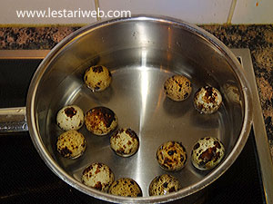Merebus Telur Puyuh
