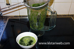 Membuat Warna Pandan