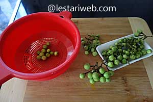 Tekokak untuk sambal