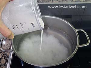 Santan Untuk Mi Celor