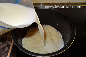 Santan Untuk Nasi Gurih