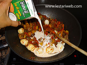 Santan Untuk Sambal Goreng