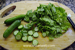 Selada Tahu Goreng Medan