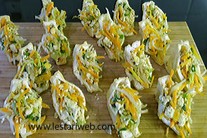 Tahu Berontak Terisi