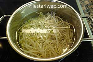 taoge blansir untuk tahu campur