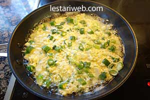 adonan tahu kopyok digoreng dadar