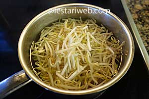 taoge untuk tahu tek diblansir