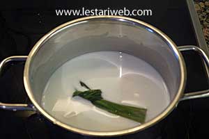 santan untuk Tajin Biruh