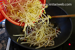 Taoge Dioseng Tempe Teri