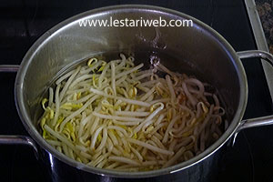 Taoge Tahu Goreng Medan