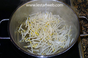 Taoge Untuk Ketoprak