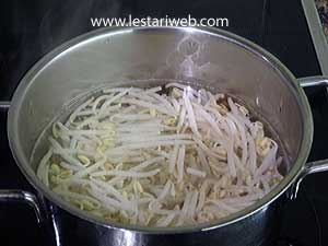 Taoge Untuk Selada Bangka