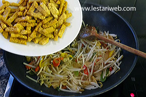 Tempe Dioseng Taoge Teri