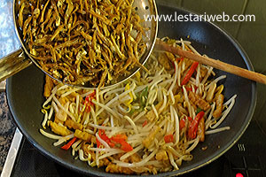 Teri Oseng Tempe Taoge