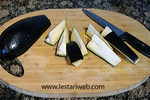 Terong Dipotong Potong