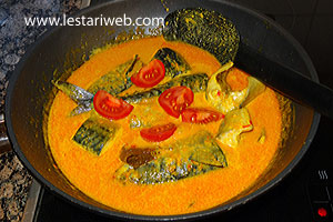 Tongkol Kuah Pedas Matang