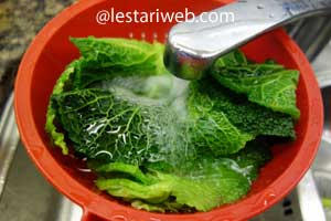 rebusan daun pepaya disiram air