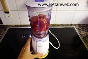 bumbu untuk tumis pare ikan teri diblender