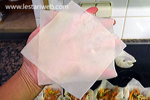 Variasi Bentuk Kulit Lumpia